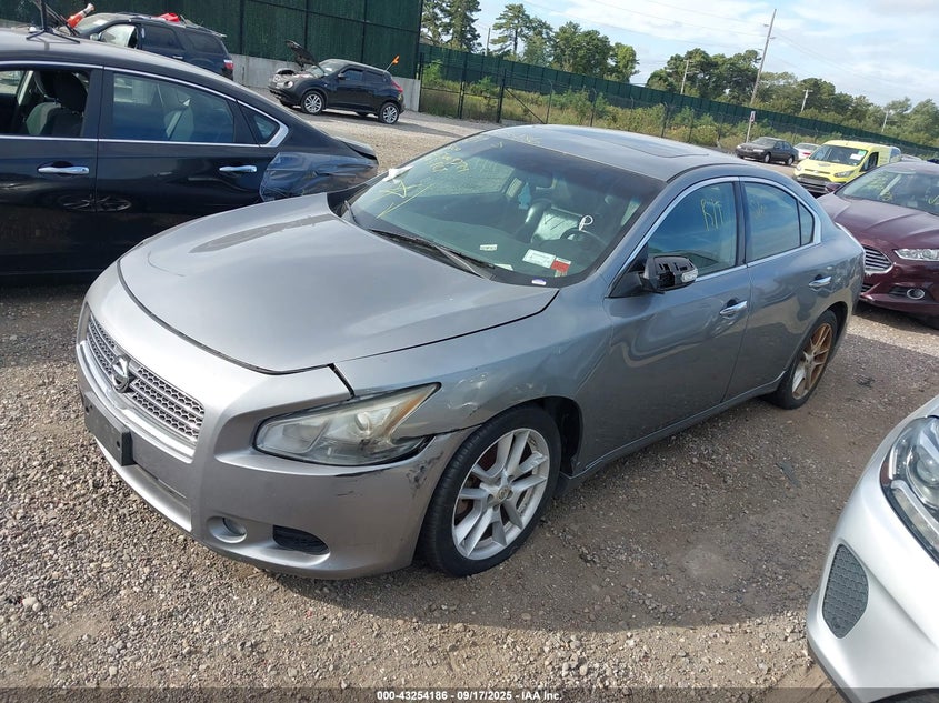2009 Nissan Maxima 3.5 Sv grey sedan gasoline 1N4AA51E89C852638 photo #3