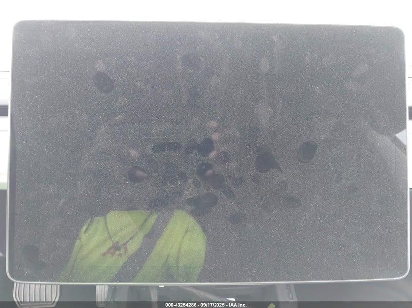 2023 Tesla Model 3 Rear-Wheel Drive VIN: 5YJ3E1EA5PF662870 Lot: 43254286