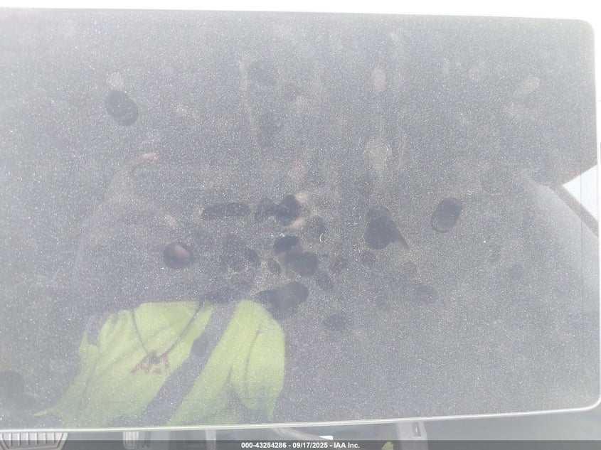 2023 Tesla Model 3 Rear-Wheel Drive VIN: 5YJ3E1EA5PF662870 Lot: 43254286