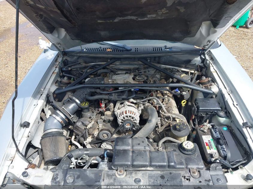 2003 Ford Mustang Gt VIN: 1FAFP42X33F376772 Lot: 43254488