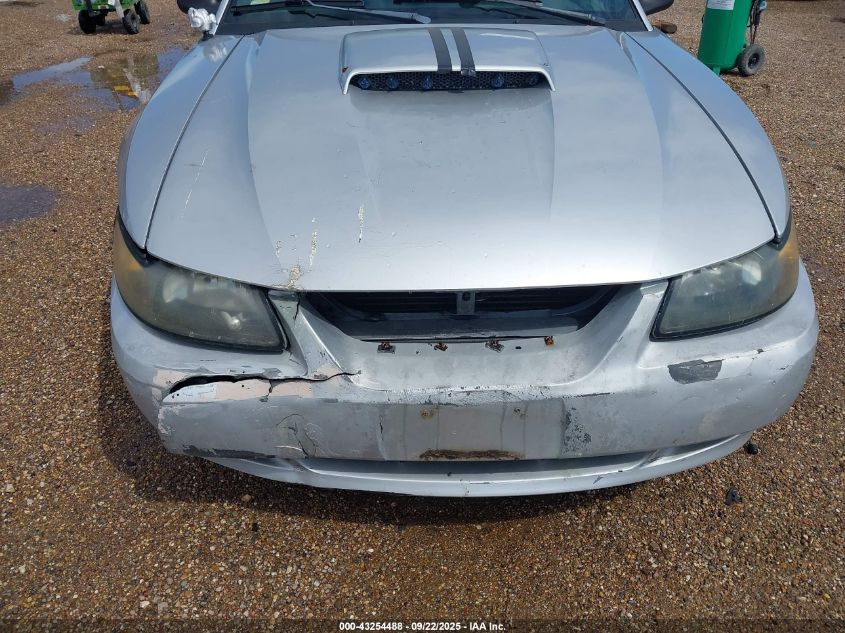 2003 Ford Mustang Gt VIN: 1FAFP42X33F376772 Lot: 43254488