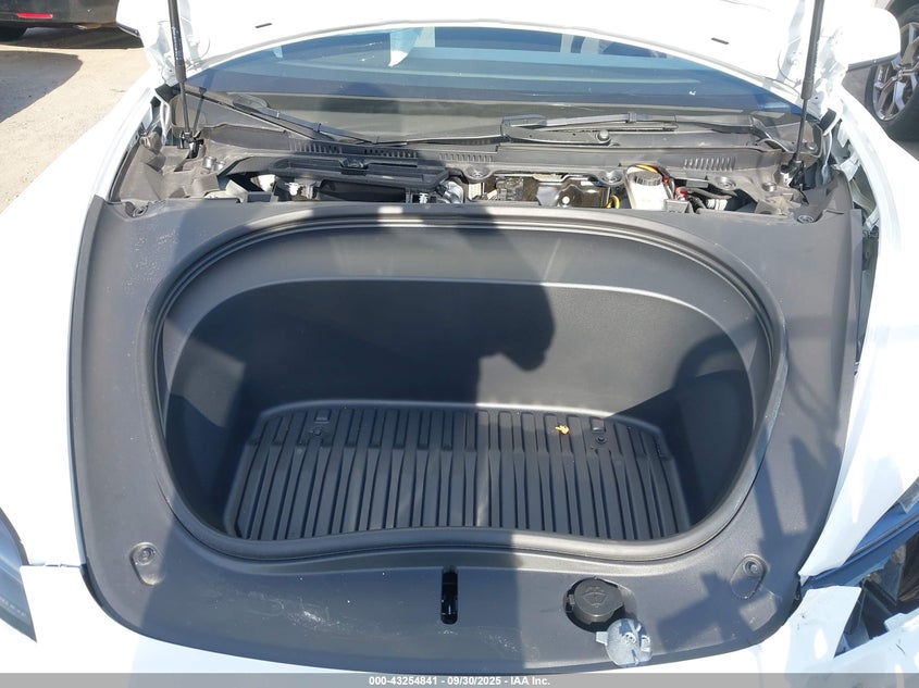 2025 Tesla Model 3 Long Range Rear-Wheel Drive VIN: 5YJ3E1EA5SF924301 Lot: 43254841