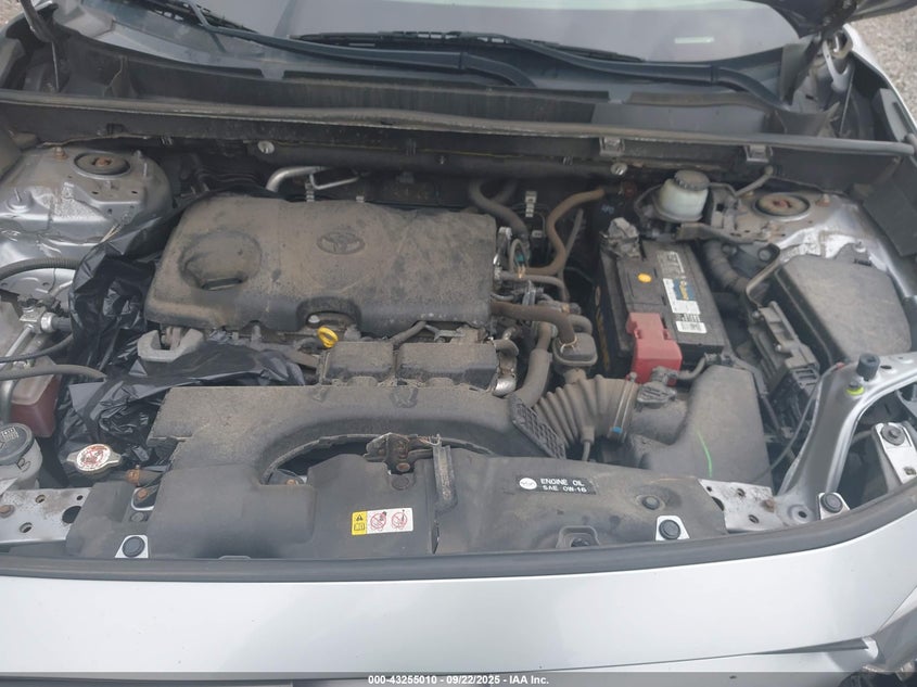 2019 TOYOTA RAV4 LE - JTMG1RFV8KD006479