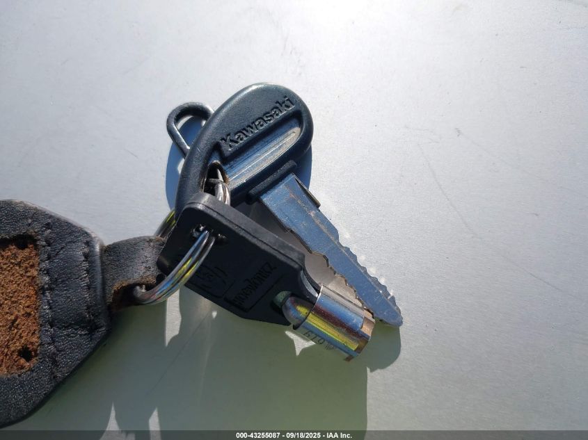 2013 Kawasaki Vn1700 C VIN: JKBVNRC13DA013234 Lot: 43255087