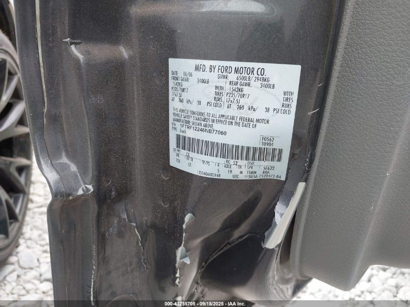 2006 Ford F-150 Stx/Xl/Xlt VIN: 1FTRF12246NB77060 Lot: 43255705