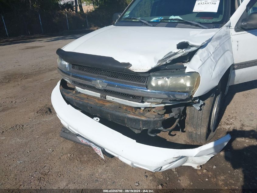 2003 Chevrolet Trailblazer Ls VIN: 1GNDT13S632302436 Lot: 43255750