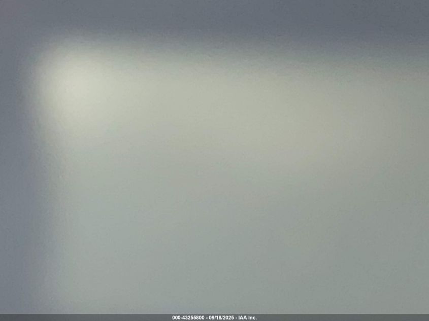 2009 Toyota Rav4 Limited VIN: JTMBF31VX9D021298 Lot: 43255800