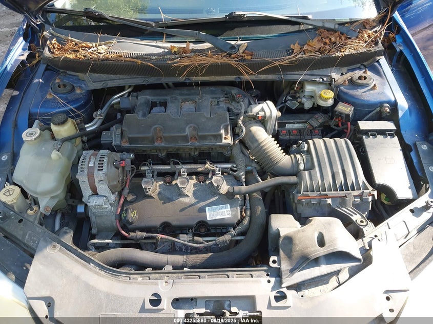 2009 Chrysler Sebring Limited VIN: 1C3LC65V09N510476 Lot: 43255880