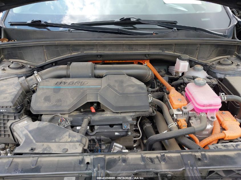 2023 Kia Sorento Hybrid Ex VIN: KNDRHDLG4P5211201 Lot: 43255999