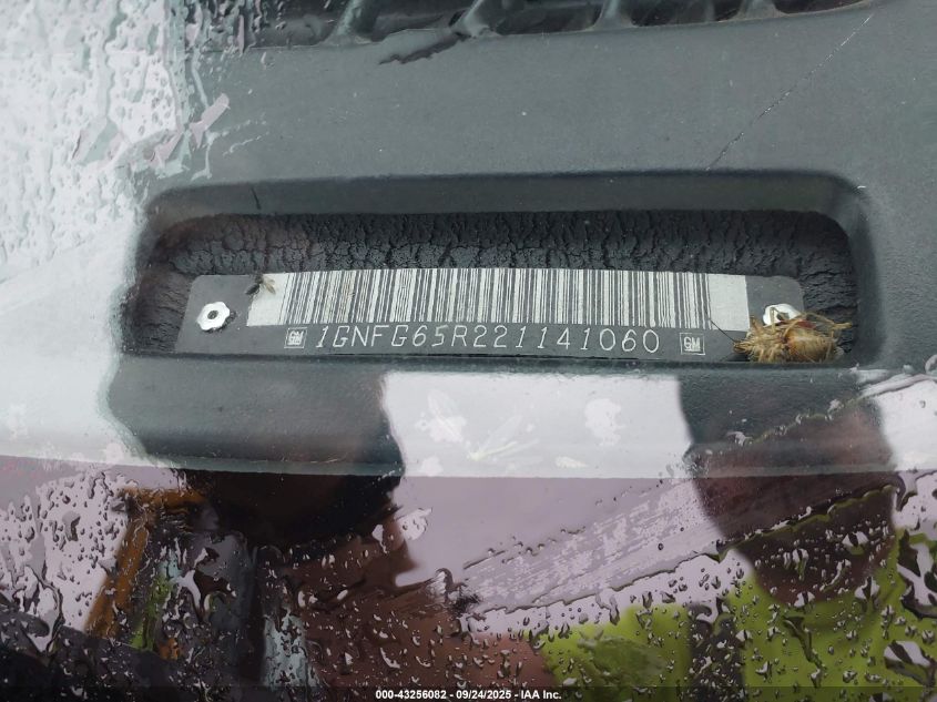 2002 Chevrolet Express Lt VIN: 1GNFG65R221141060 Lot: 43256082