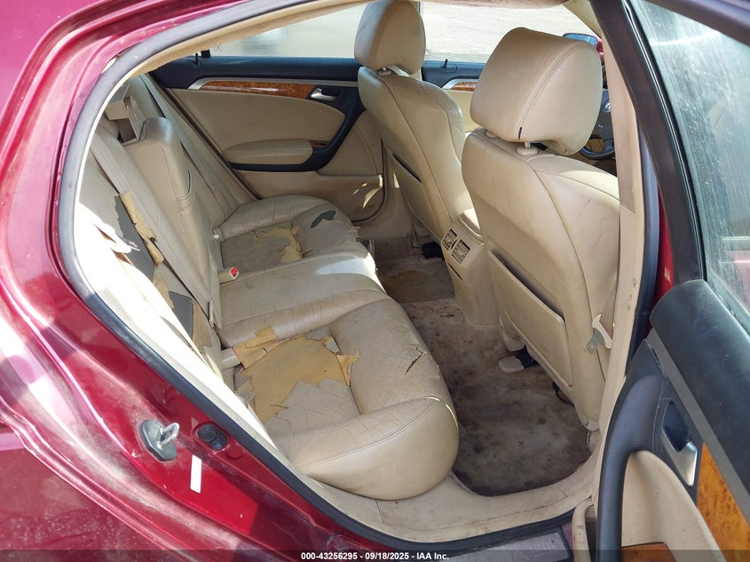 2004 Acura Tl VIN: 19UUA66264A033306 Lot: 43256295