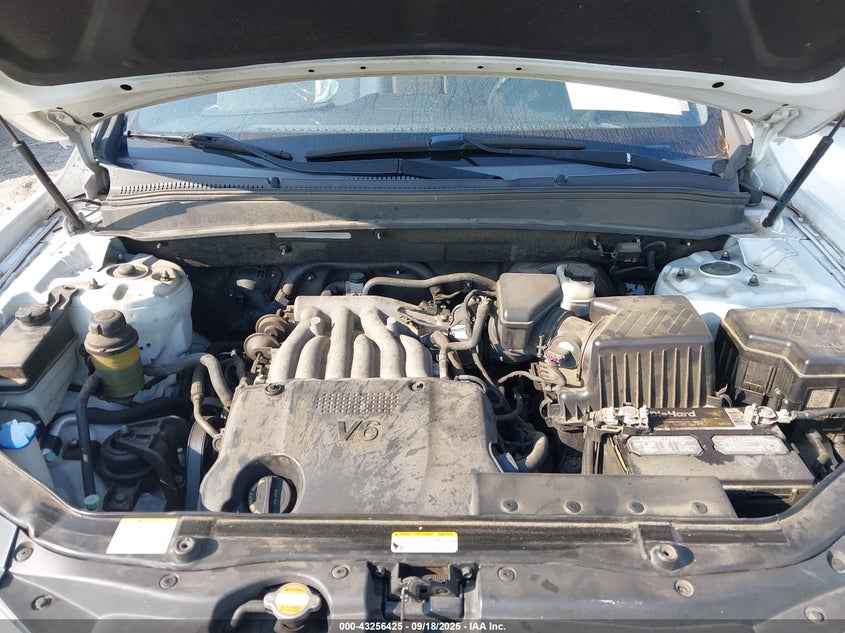 2009 Hyundai Santa Fe Gls VIN: 5NMSG13D79H320051 Lot: 43256425