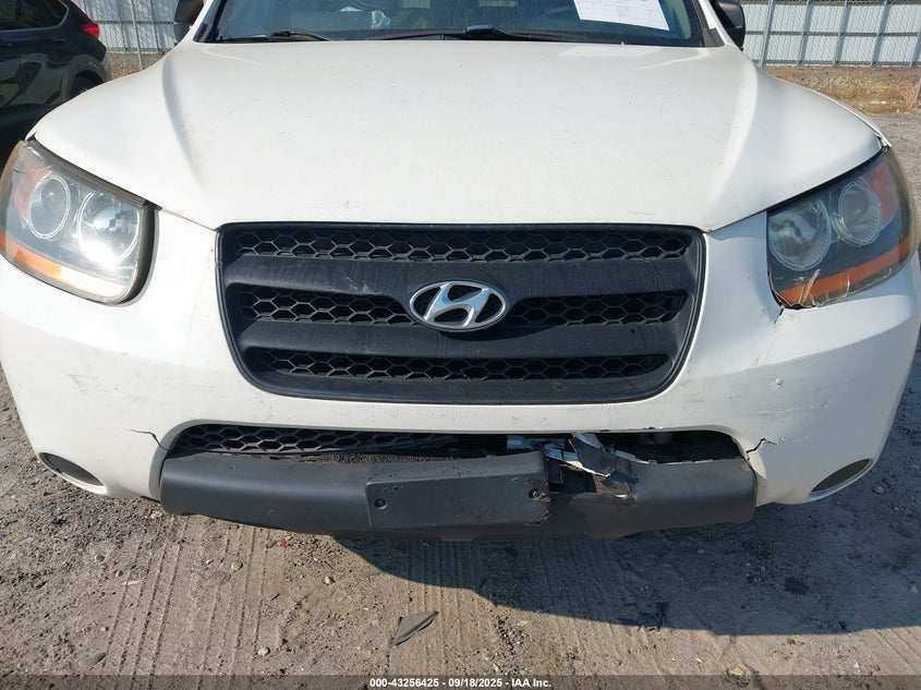 2009 Hyundai Santa Fe Gls VIN: 5NMSG13D79H320051 Lot: 43256425