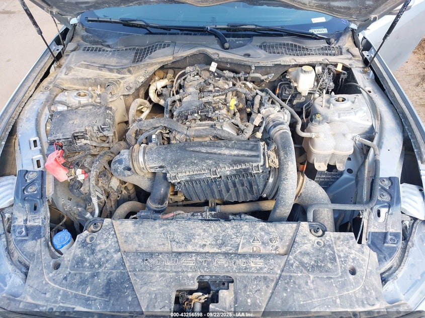 2024 Ford Mustang Ecoboost Fastback VIN: 1FA6P8TH6R5141604 Lot: 43256598