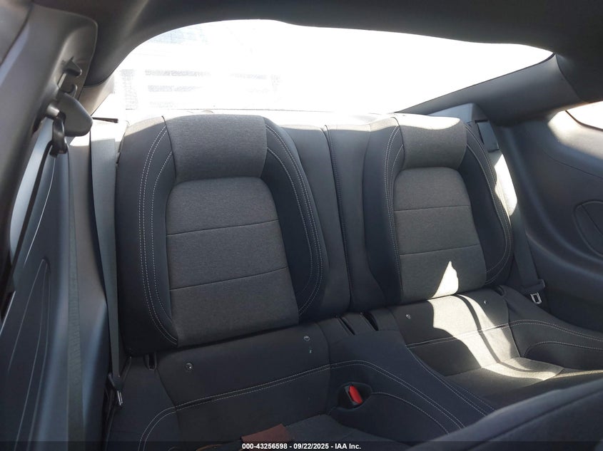 2024 Ford Mustang Ecoboost Fastback VIN: 1FA6P8TH6R5141604 Lot: 43256598