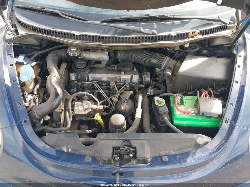 2003 Volkswagen New Beetle Gl Tdi VIN: 3VWBP21C43M421825 Lot: 43256614