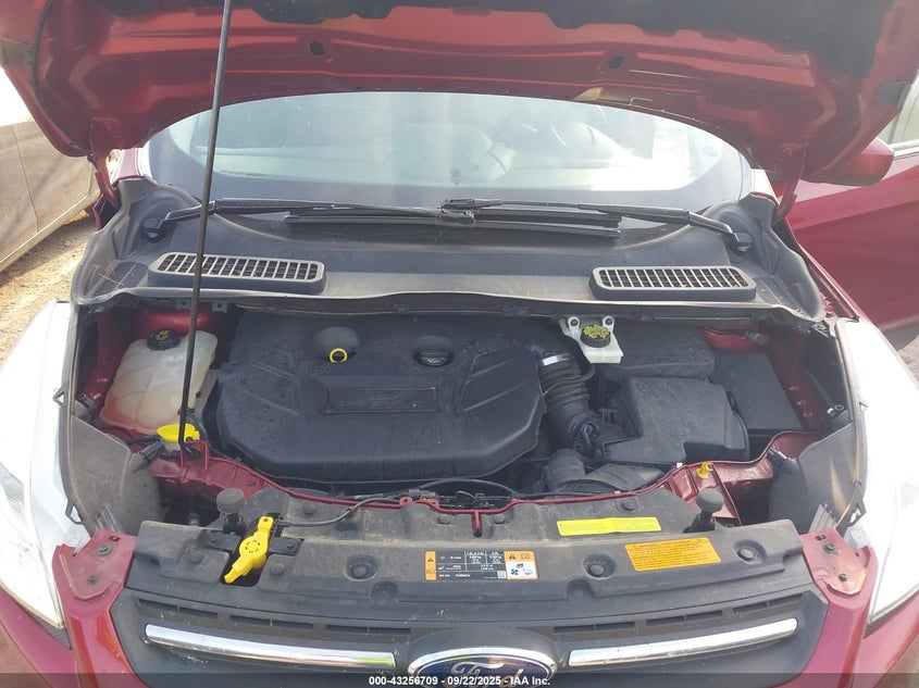 2014 FORD ESCAPE SE - 1FMCU9G90EUE38216