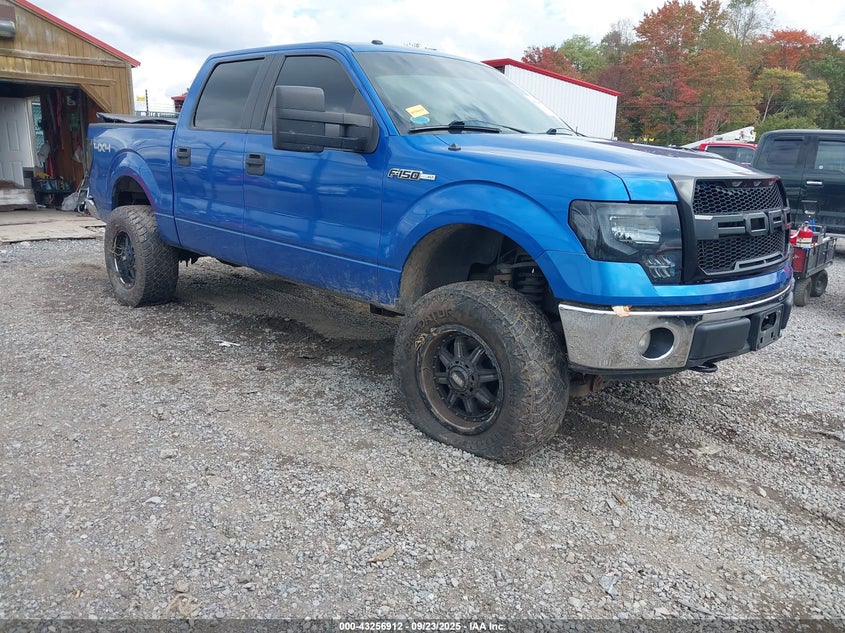 FORD F-150 XLT
