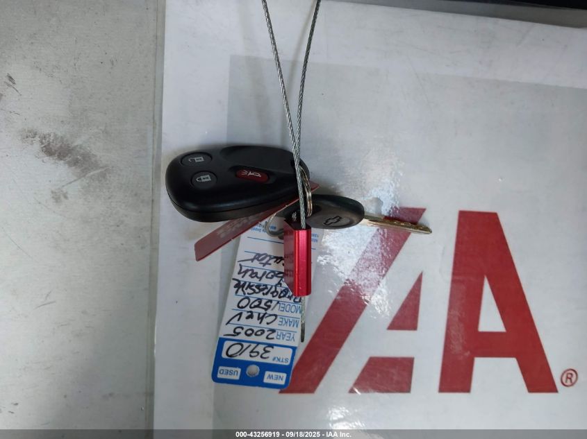 2005 Chevrolet Silverado 1500 Ls VIN: 1GCEK19Z45Z195613 Lot: 43256919