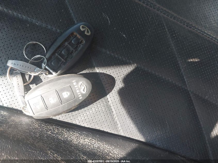 2009 Infiniti Fx35 VIN: JNRAS18W59M156926 Lot: 43257051