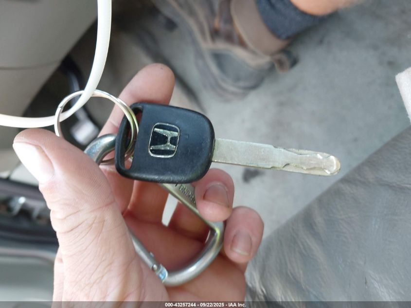 2008 Honda Odyssey Ex-L VIN: 5FNRL38788BO6959 Lot: 43257244