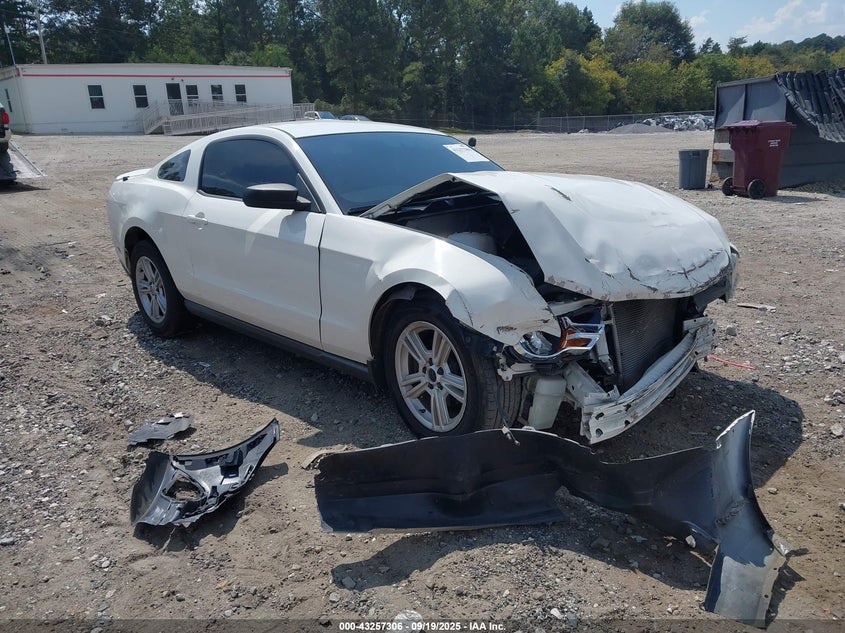 FORD MUSTANG V6/V6 PREMIUM