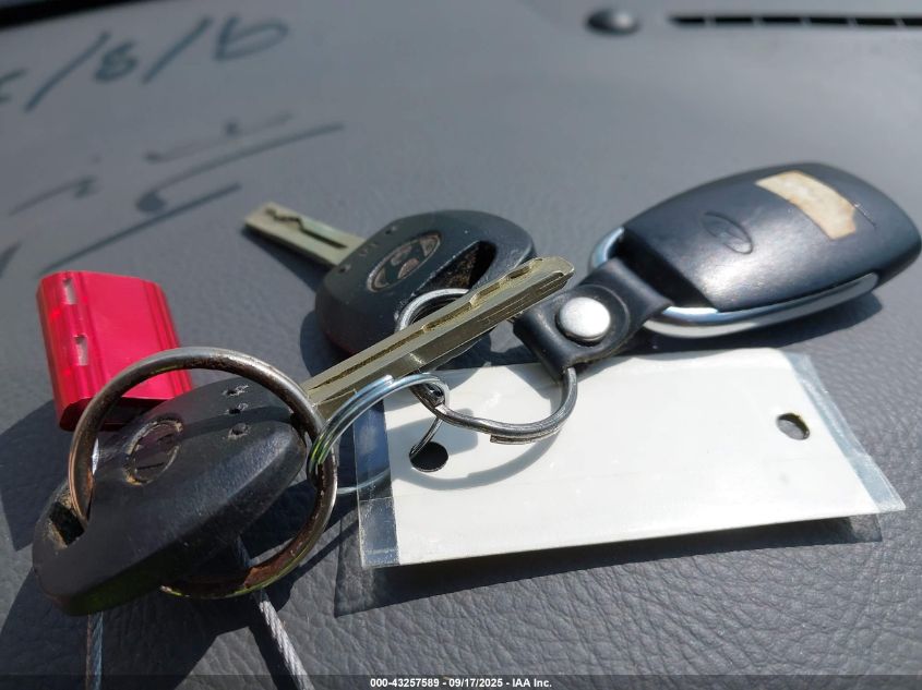 2006 Hyundai Azera Limited/Se VIN: KMHFC46F86A056691 Lot: 43257589