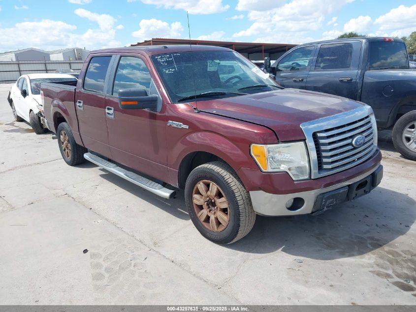 2010 Ford F-150 Fx2 Sport/Harley-Davidson/King Ranch/Lariat/Platinum/Xl/Xlt brown truck flexible 1FTFW1CV9AFD66334 photo #1
