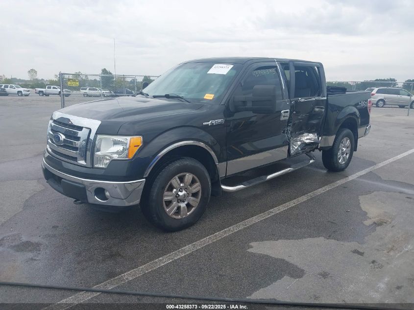 2011 Ford F-150 Xlt VIN: 1FTFW1EF7BFA05644 Lot: 43258373