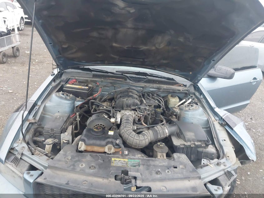 2005 Ford Mustang VIN: 1ZVFT80N055108069 Lot: 43258701