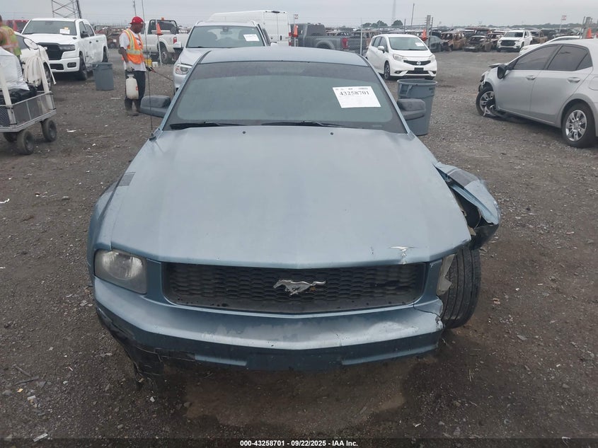 2005 Ford Mustang VIN: 1ZVFT80N055108069 Lot: 43258701