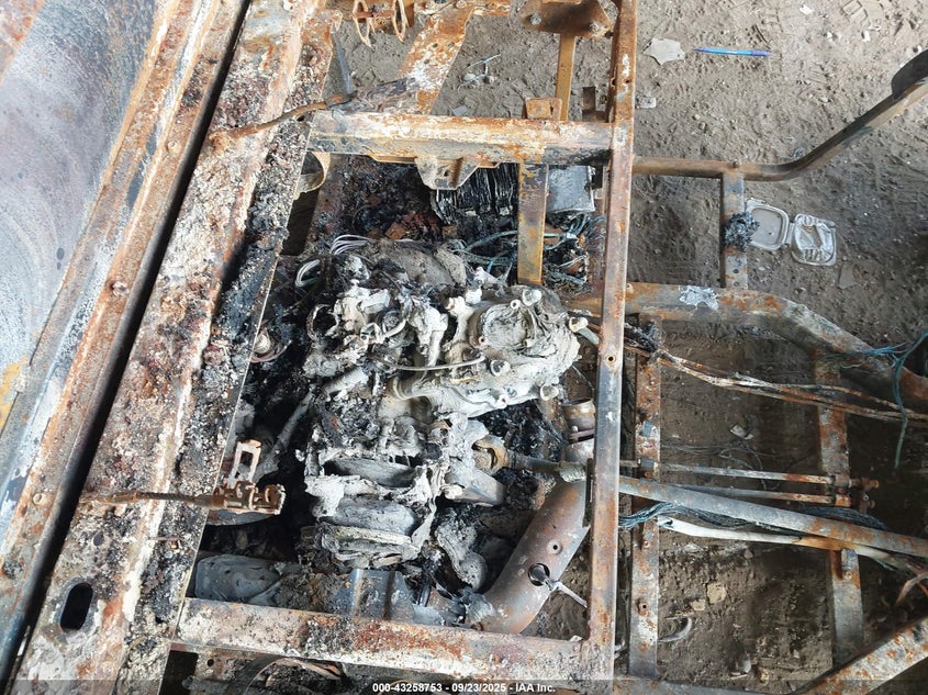 LWGMDSZ16FA000097 2015   photo no. 10