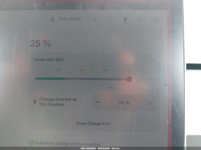 2024 Tesla Model Y Long Range Dual Motor All-Wheel Drive VIN: 7SAYGDEE5RA333769 Lot: 43258808