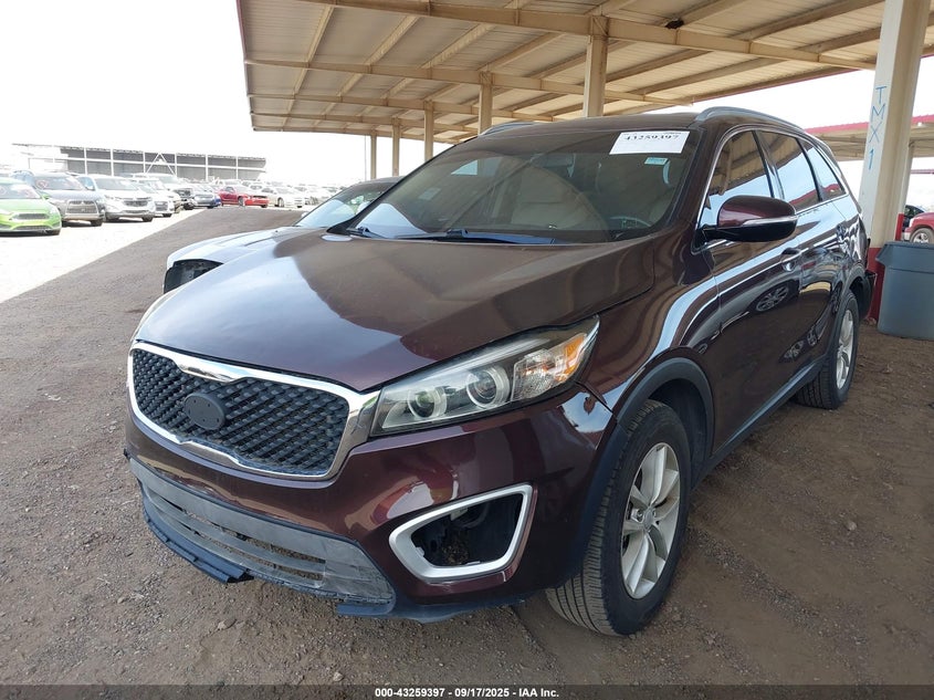 AtlanticExpress - Kia Sorento