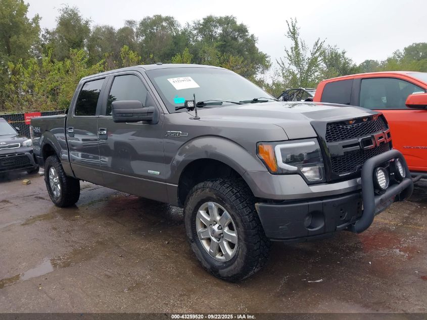 FORD F-150 XLT