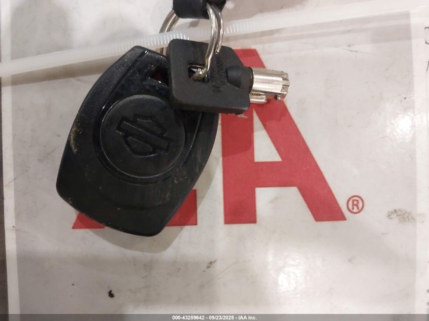 2024 Harley-Davidson Flhx VIN: 1HD1KB713RB633617 Lot: 43259642