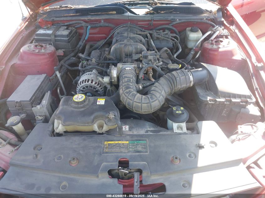 2008 Ford Mustang V6 Deluxe/V6 Premium VIN: 1ZVHT80N285101881 Lot: 43260019