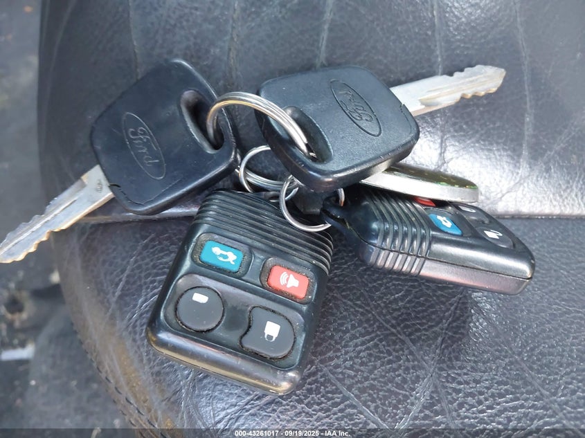 2004 Ford Mustang Gt VIN: 1FAFP42X24F175656 Lot: 43261017