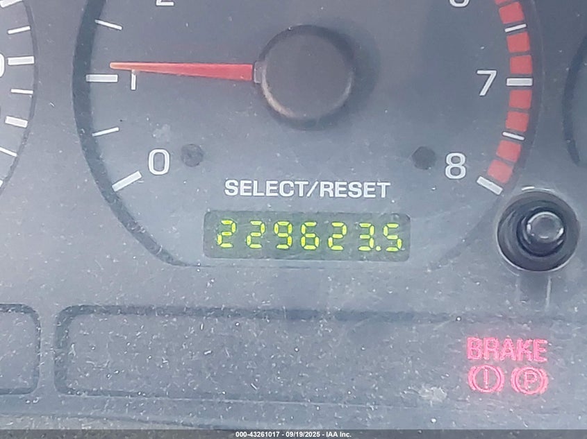 2004 Ford Mustang Gt VIN: 1FAFP42X24F175656 Lot: 43261017