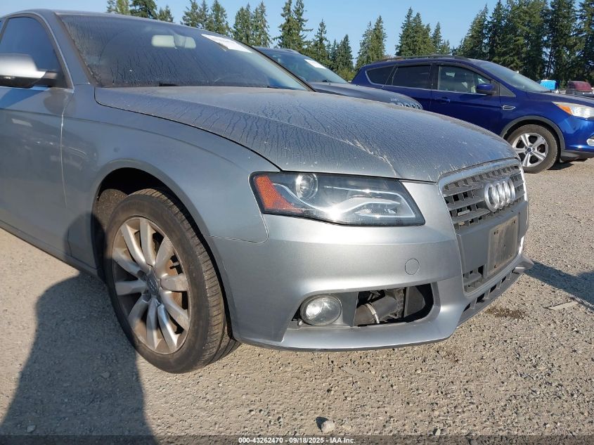 2010 Audi A4 2.0T Premium VIN: WAUFFAFL5AN049860 Lot: 43262470