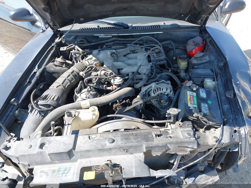 2004 Ford Mustang VIN: 1FAFP40684F239547 Lot: 43262707