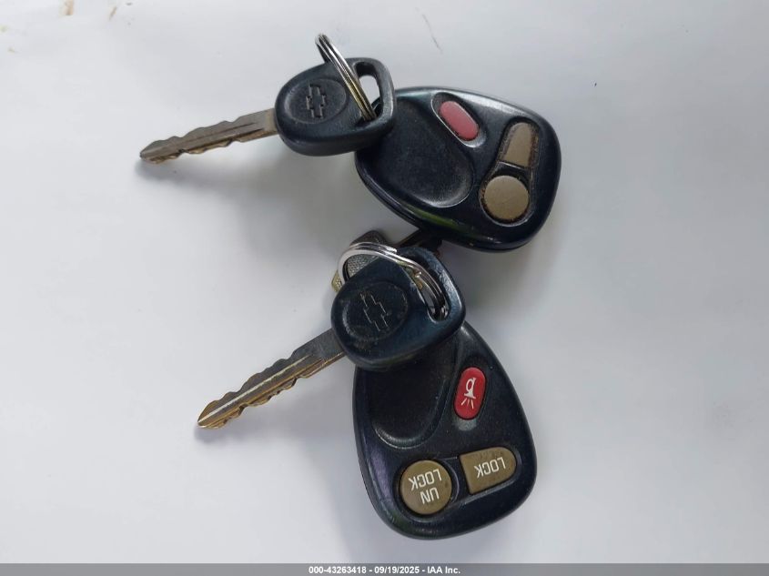 2002 Chevrolet Silverado 1500 Ls VIN: 2GCEK19T321205466 Lot: 43263418