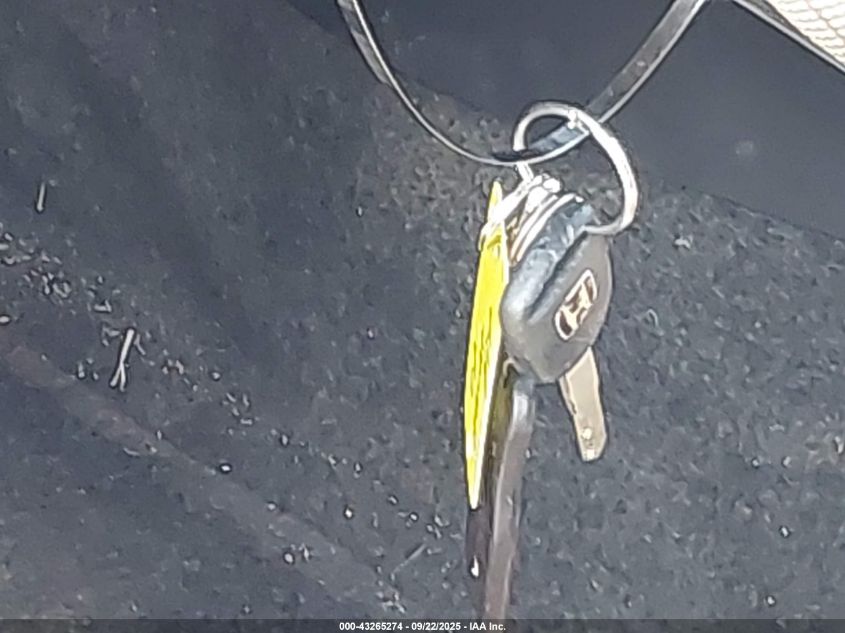 2007 Honda Fit VIN: JHMGD37427S059044 Lot: 43265274