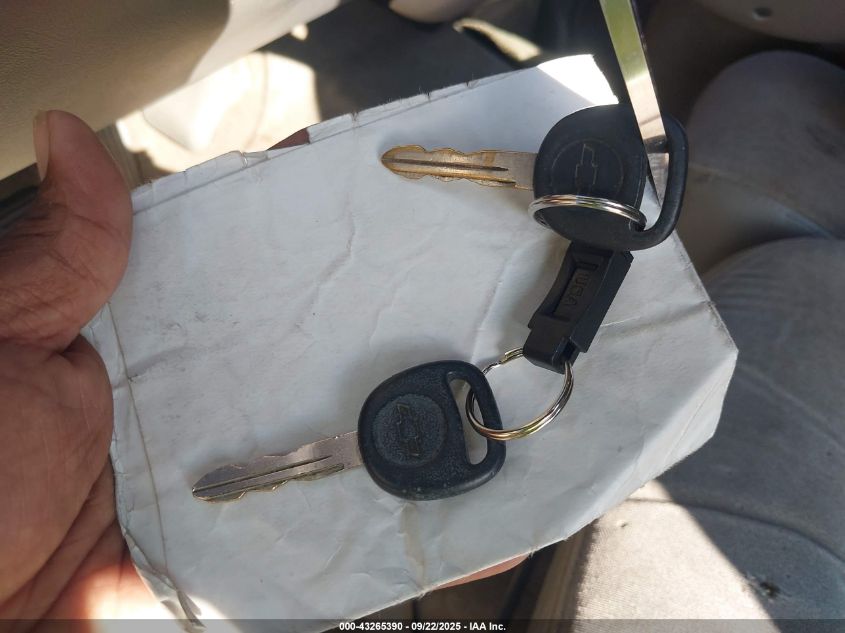 2000 Chevrolet Silverado 1500 Ls VIN: 2GCEC19T4Y1169227 Lot: 43265390