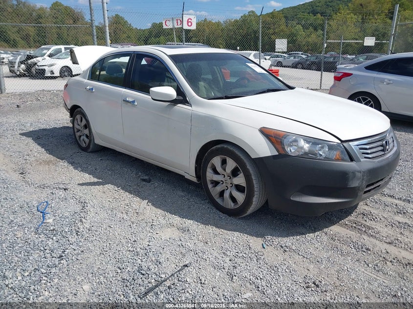 1HGCP26888A036043 2008 Honda Accord 2.4 Ex-L auction photo 1