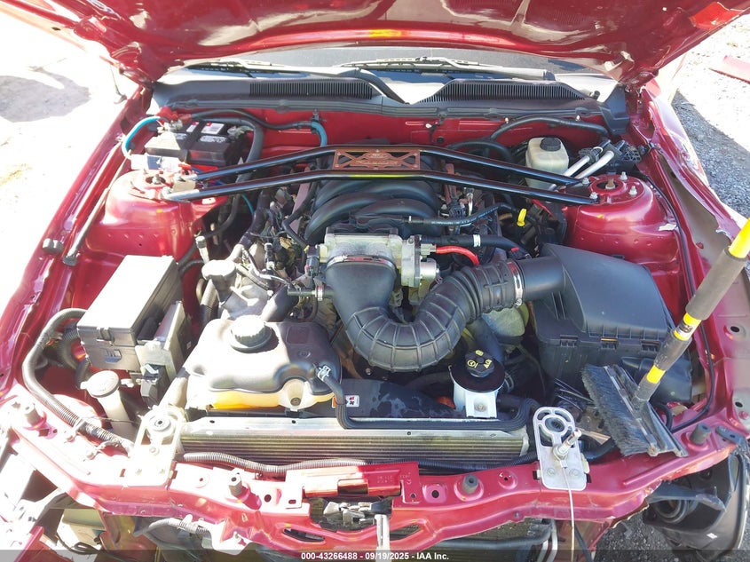 2005 Ford Mustang Gt Deluxe/Gt Premium VIN: 1ZVFT82H455239383 Lot: 43266488