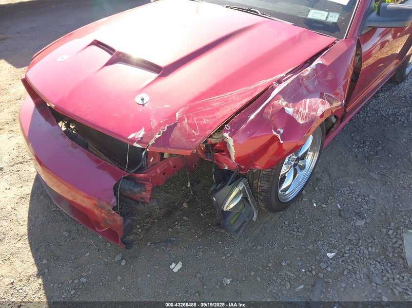 2005 Ford Mustang Gt Deluxe/Gt Premium VIN: 1ZVFT82H455239383 Lot: 43266488