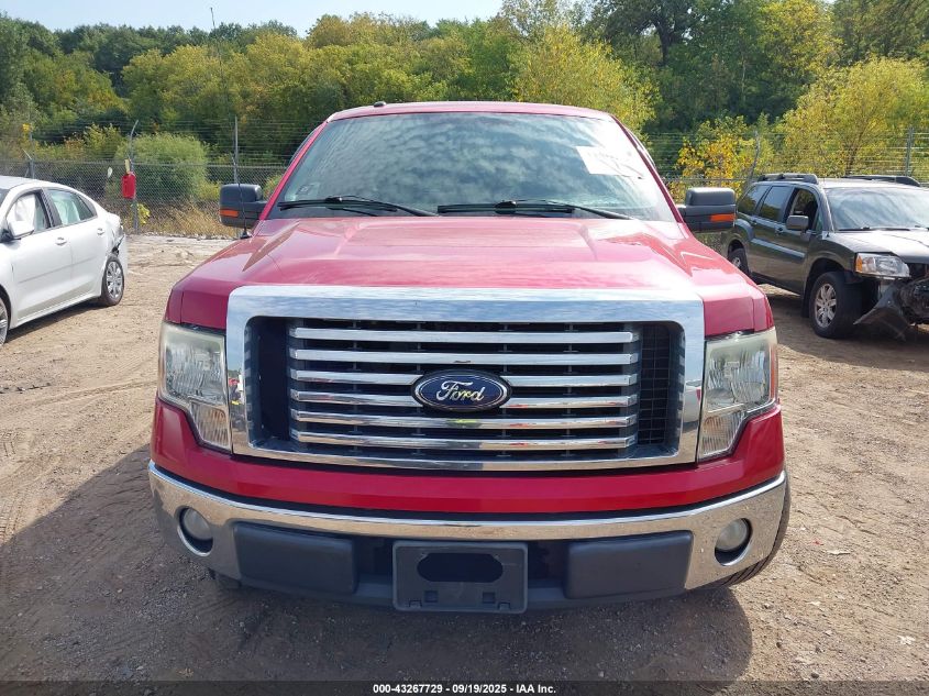 2011 Ford F-150 Xlt VIN: 1FTEX1CM8BFC63732 Lot: 43267729