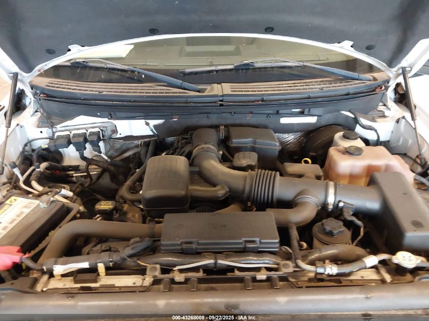 2009 Ford F-150 Fx4/King Ranch/Lariat/Platinum/Xl/Xlt VIN: 1FTPW14V99FA80658 Lot: 43268008