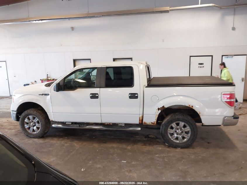2009 Ford F-150 Fx4/King Ranch/Lariat/Platinum/Xl/Xlt VIN: 1FTPW14V99FA80658 Lot: 43268008